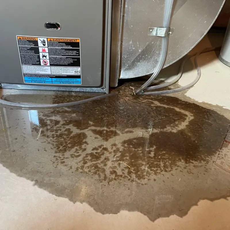 Appliance Leak Cleanup in Newton, NH